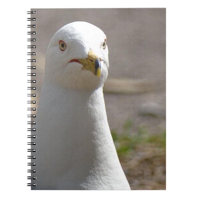 Seagull Notebook (Front)