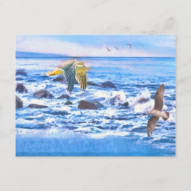 SEAGULL OCEAN  PLAYGROUND POSTCARD (Front)