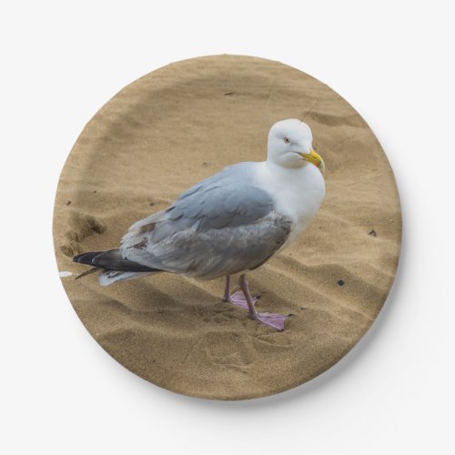 Seagull on a beach paper plate