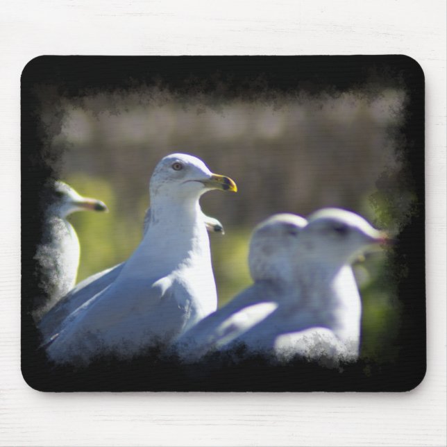 Seagull on a Rail Mouse Pad (Front)