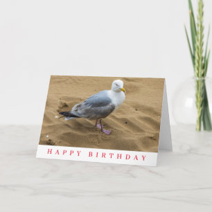 Seagull on a sandy beach birthday card
