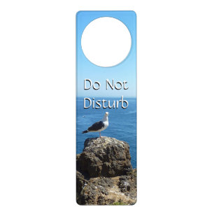 Seagull on Anacapa Island at Channel Islands Door Hanger