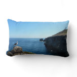 Seagull on Anacapa Island at Channel Islands Lumbar Pillow