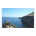 Seagull on Anacapa Island at Channel Islands Rectangular Sticker