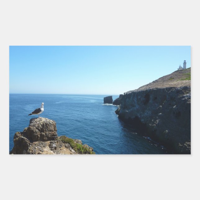 Seagull on Anacapa Island at Channel Islands Rectangular Sticker (Front)