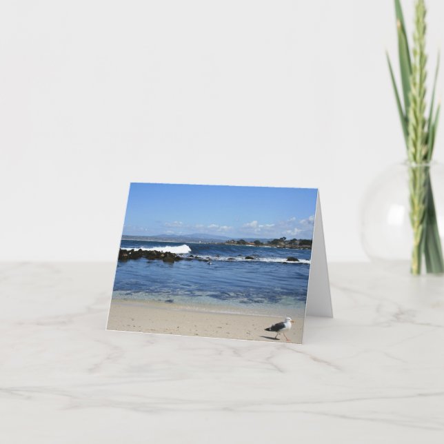 Seagull on Beach, Blank Note Card (Front)