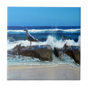 Seagull On Beach Rocks, Ceramic Tile