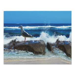 Seagull On Beach Rocks, Faux Canvas Print