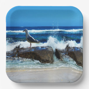 Seagull On Beach Rocks, Paper Plates