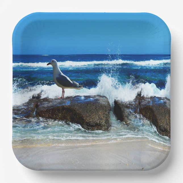 Seagull On Beach Rocks, Paper Plates (Front)