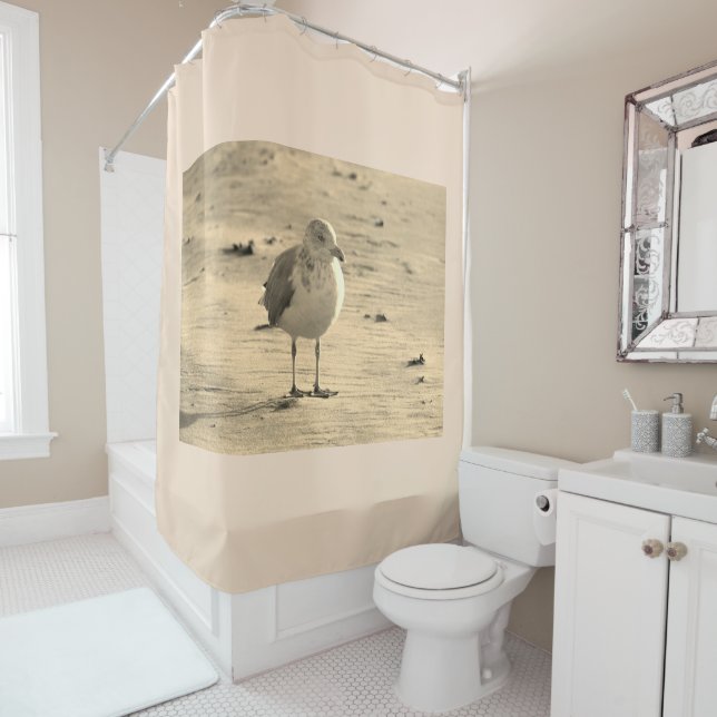 Seagull on Beach Shower Curtain (In Situ)