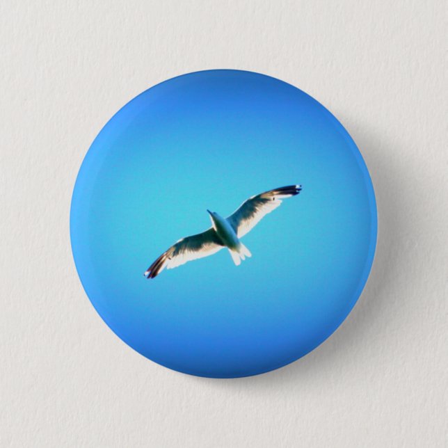 seagull on blue button (Front)