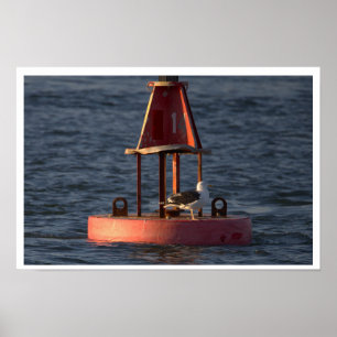 Seagull on Buoy Poster
