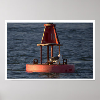 Seagull on Buoy Poster