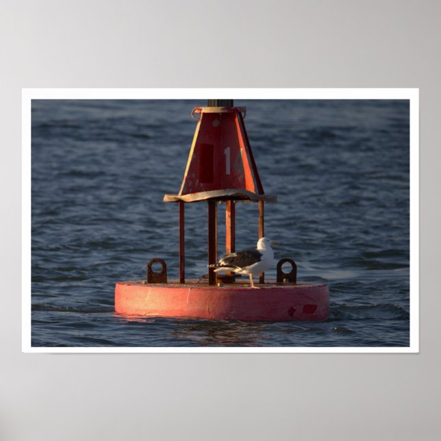 Seagull on Buoy Poster (Front)