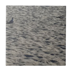 Seagull on Cocoa Beach Ceramic Tile