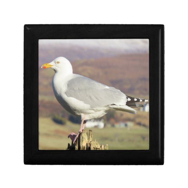 Seagull on Fence Post Wooden Keepsake Gift Box (Front)