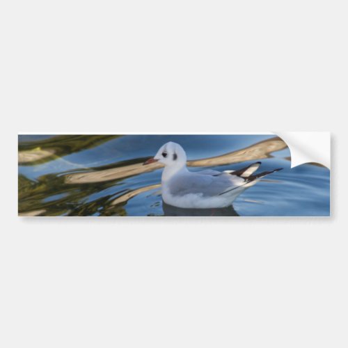 seagull on lake bumper sticker