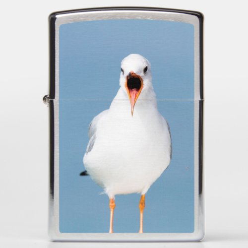 seagull on lake  zippo lighter