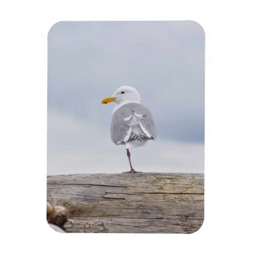 Seagull On One Leg Magnet