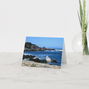 Seagull on Pacific Coastline, Blank Note Card