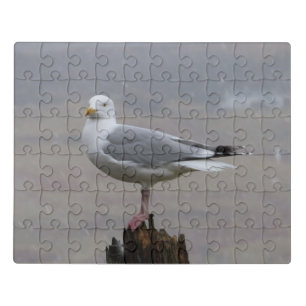 Seagull on Post when Snowing Acrylic Jigsaw Puzzle