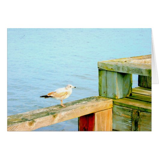 Seagull on Railing Cards (Front Horizontal)
