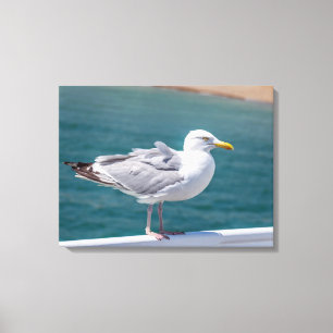 Seagull on railings view canvas print