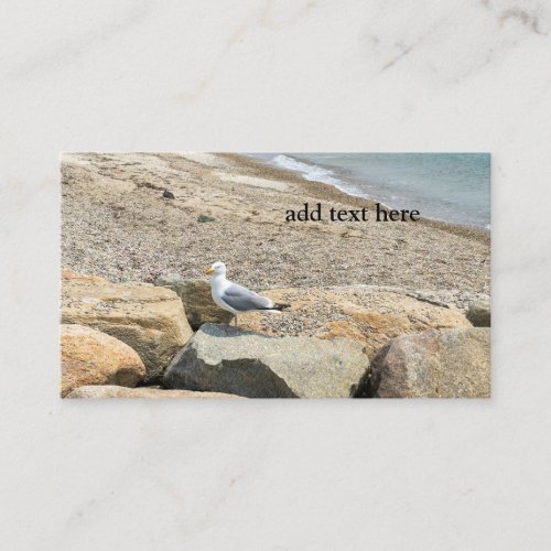 seagull on rocks by a beach business card