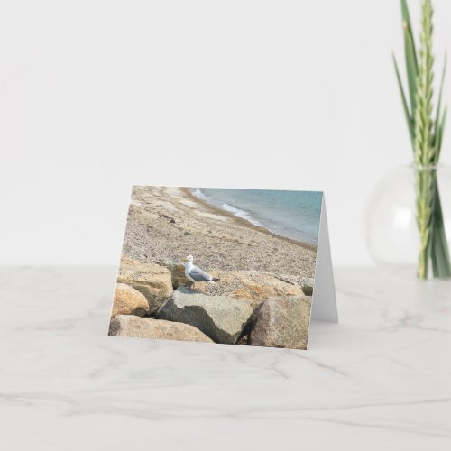 seagull on rocks by a beach thank you card