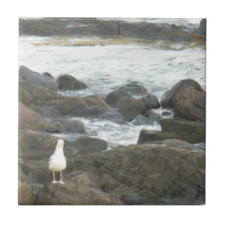 Seagull on rocks ceramic tile