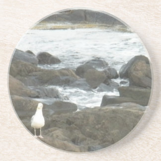 Seagull on rocks coaster