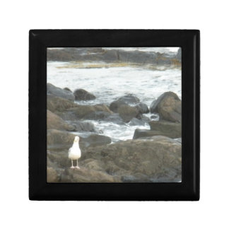 Seagull on rocks gift box