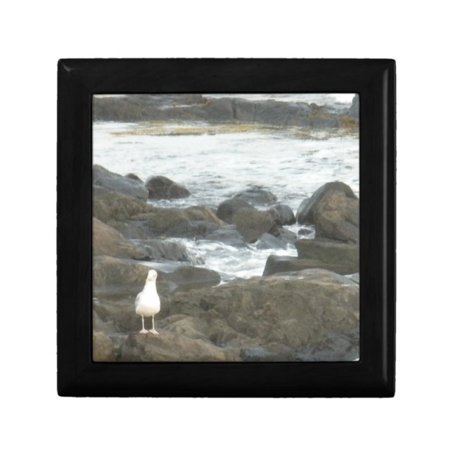 Seagull on rocks gift box (Front)