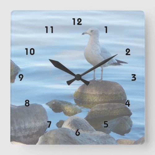 Seagull on Rocks Square Wall Clock