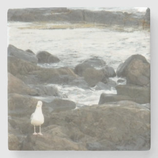 Seagull on rocks stone coaster