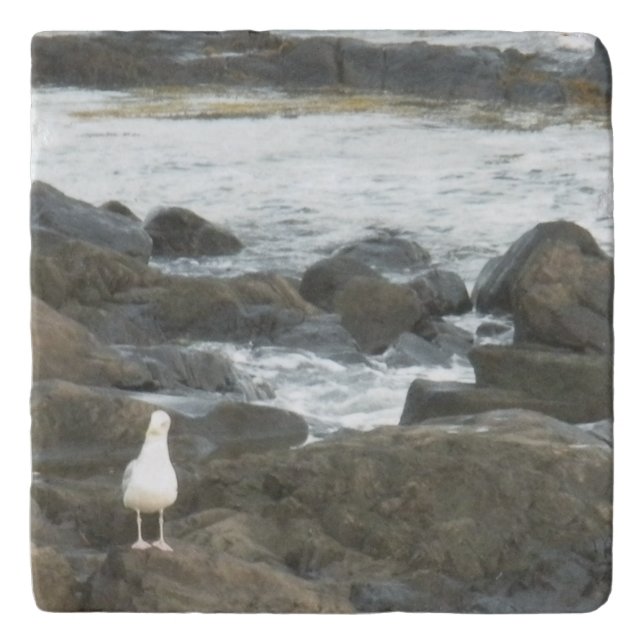 Seagull on rocks trivet (Front)