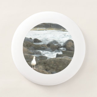 Seagull on rocks Wham-O frisbee