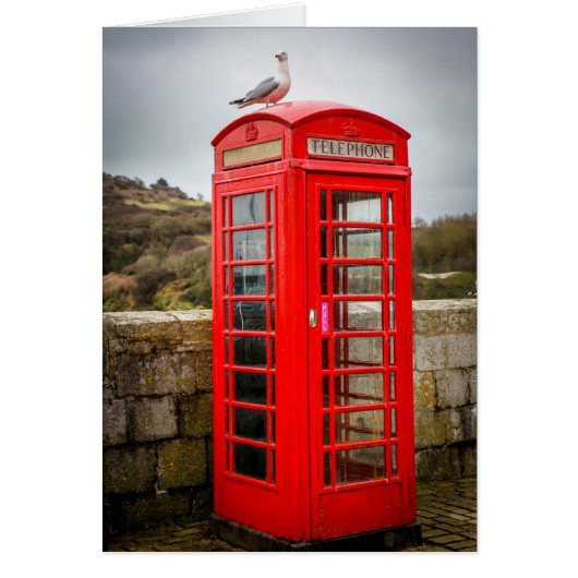 Seagull on Telephone Box Cards (Front)