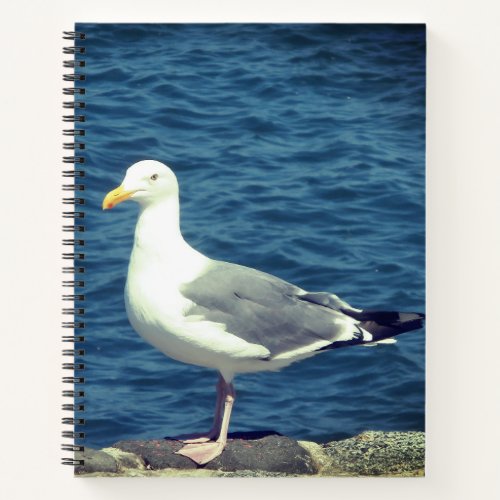 Seagull On The Bay Notebook