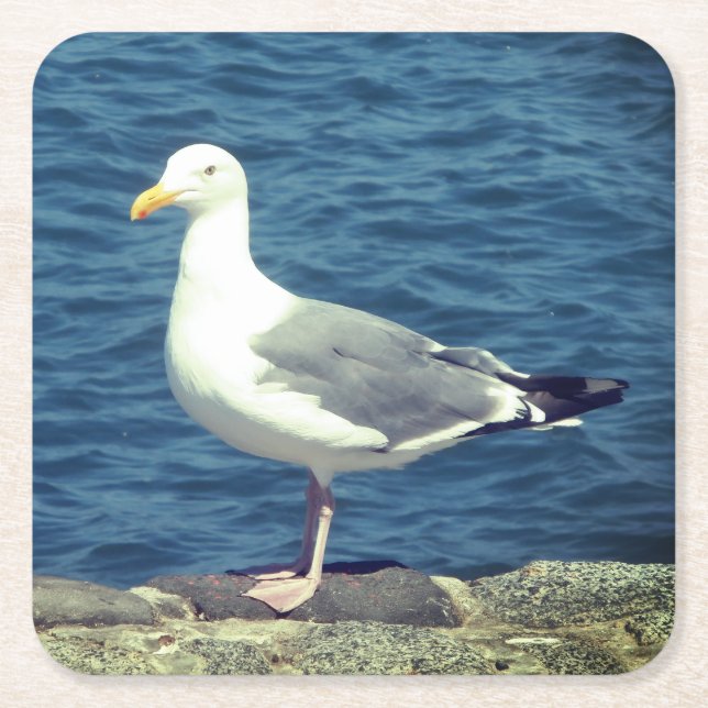 Seagull On The Bay Square Paper Coaster (Front)