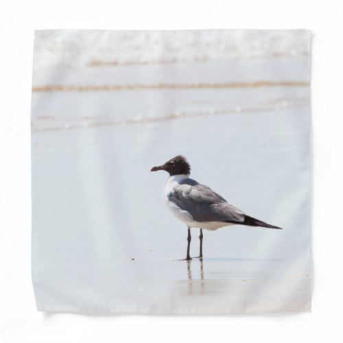 Seagull on the Beach Bandana