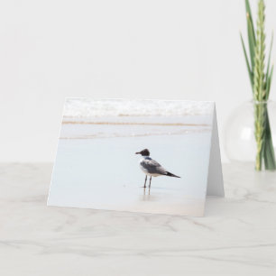 Seagull on the Beach Blank Greeting Card