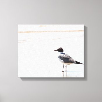Seagull On The Beach Canvas Print by ICandiPhoto at Zazzle