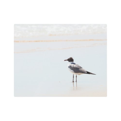 Seagull on the Beach Metal Print