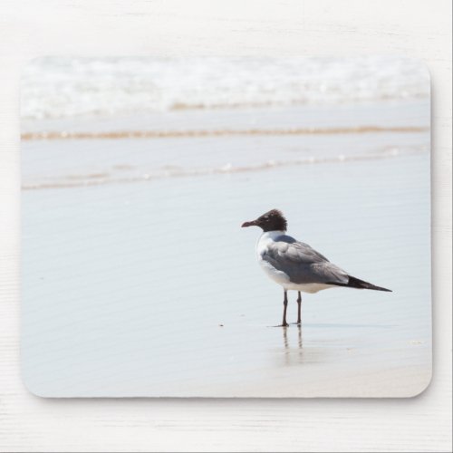 Seagull on the Beach Mouse Pad