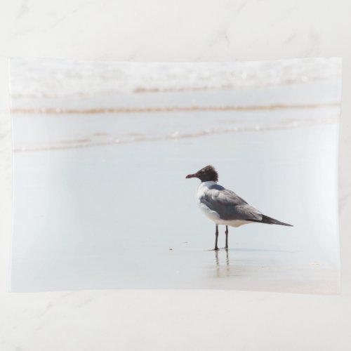 Seagull on the Beach Trinket Tray