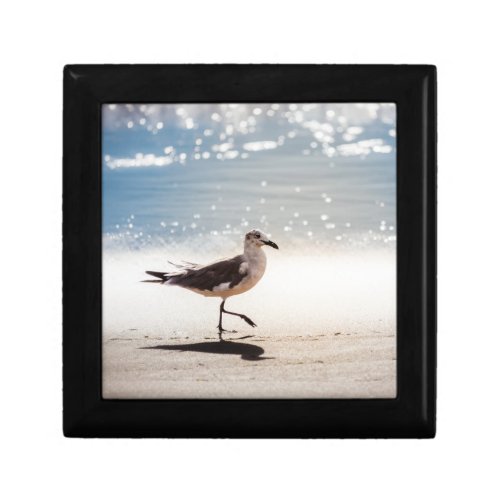 Seagull on Virginia Beach Gift Box