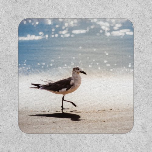 Seagull on Virginia Beach Patch
