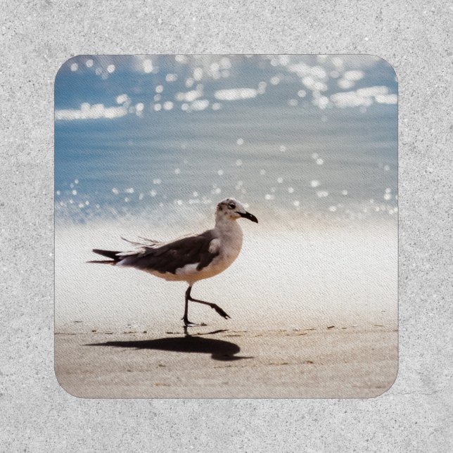 Seagull on Virginia Beach Patch (Front)